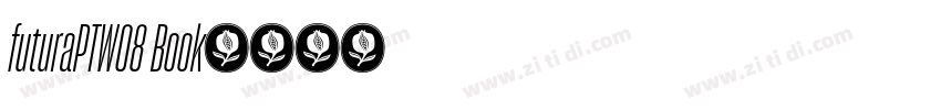 futuraPTW08 Book字体转换